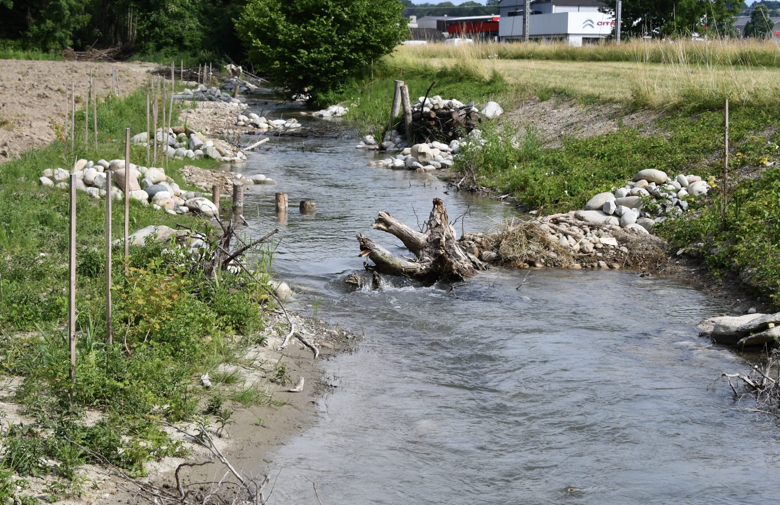 Pflegeeinsatz Rosshänggibach