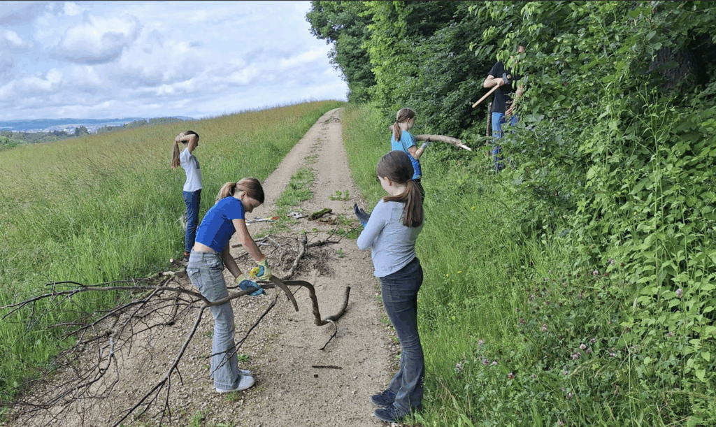 Von Kindern gebaut – von Zauneidechsen geliebt