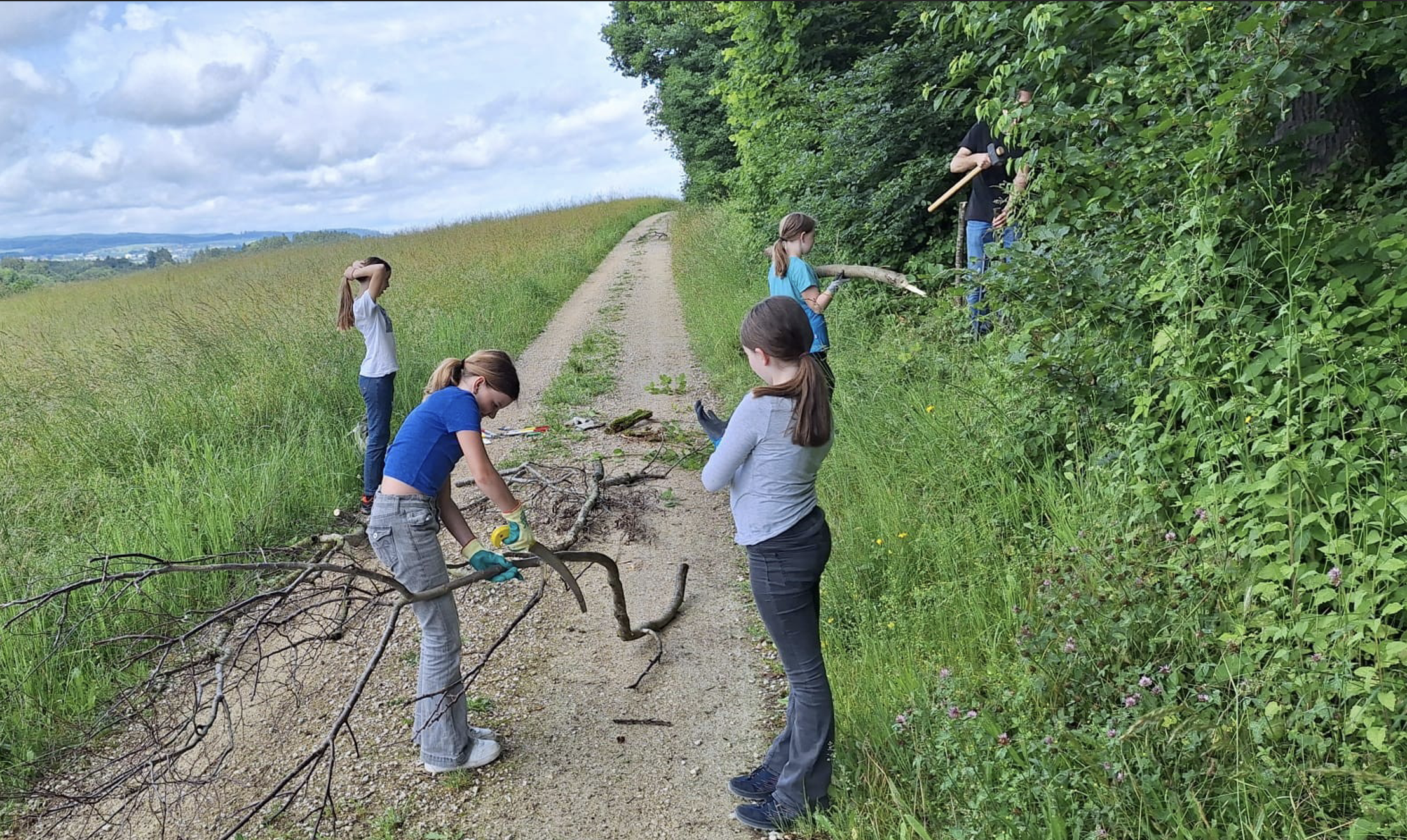 Von Kindern gebaut – von Zauneidechsen geliebt